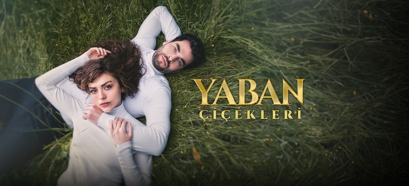 Yaban Çiçekleri